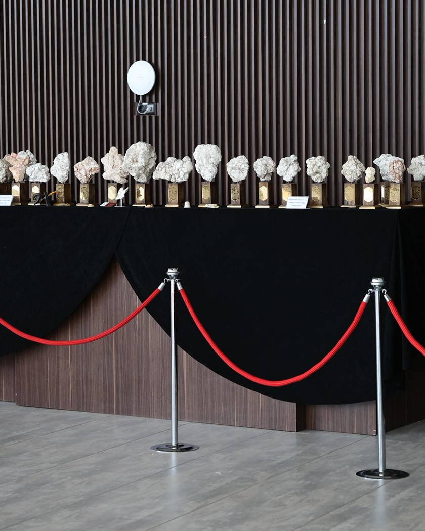 Koyu ahşap duvarın önünde, siyah örtülü podyum üzerinde sıralanmış lületaşı örnekleri; önünde kırmızı kordonlu bariyer.
