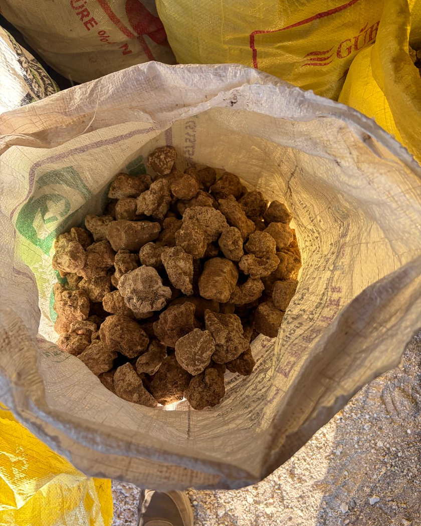Sarı ve beyaz çuvalların arasında, ağzı açılmış bir çuvalın içindeki toprak rengi yumru taşlar.