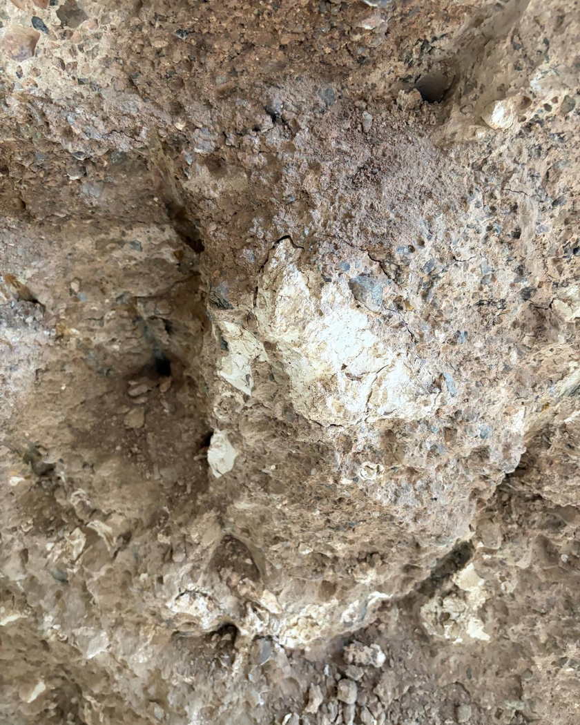 Kahverengi kaya kütlesinin ortasında, çevresinden belirgin biçimde ayrılan açık renkli yumrulu bir kütle.