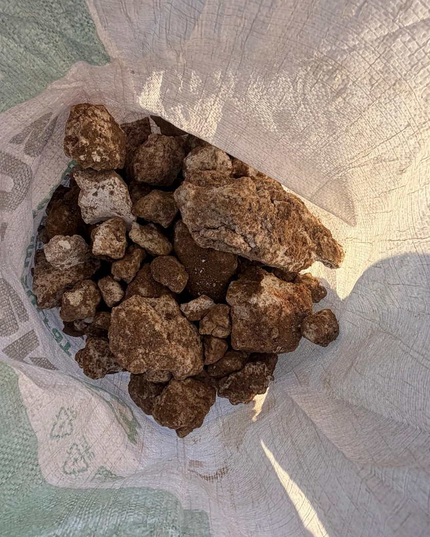 Ağzı açık bir çuvalın içinde, toprak rengi kabuklu yumru taşlar.