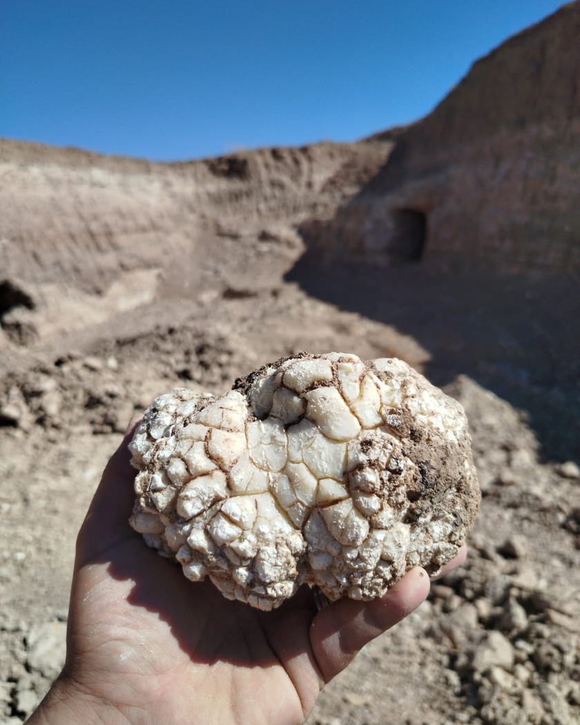 Bir avuç içinde tutulan, yüzeyi karnabahar gibi yumrulu, krem-beyaz renkli lületaşı; arkada ocak aynası ve açılmış bir galeri ağzı.